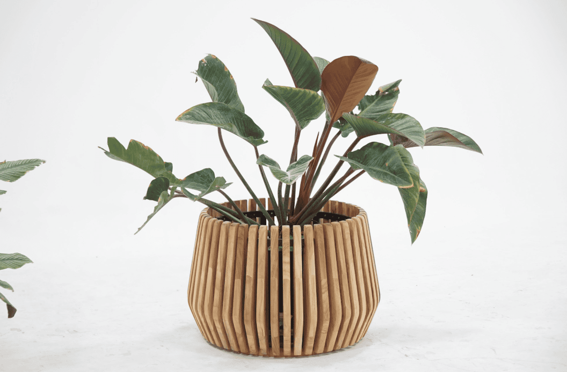 Plenter Collection - Image 3