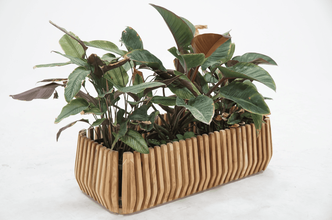 Plenter Collection - Image 5