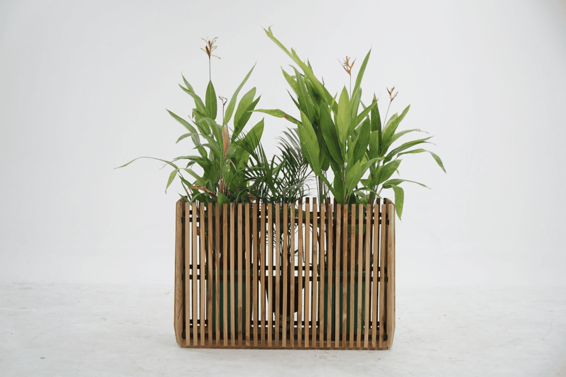 Plenter Collection - Image 6