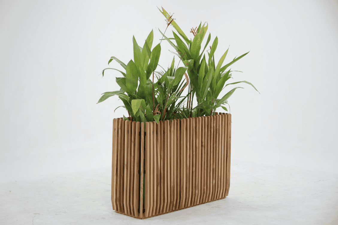 Plenter Collection - Image 7